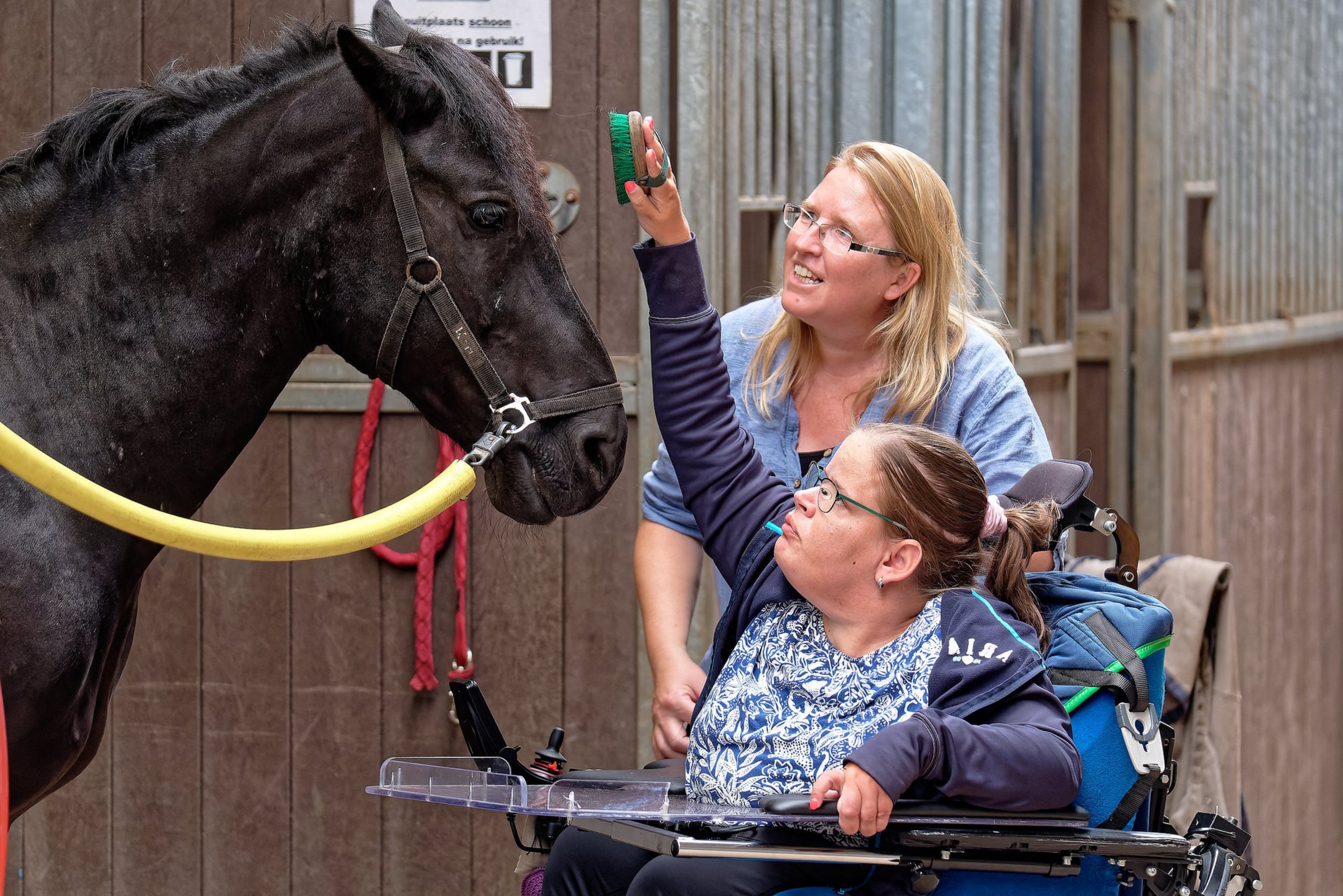 Prinses Máxima Manege